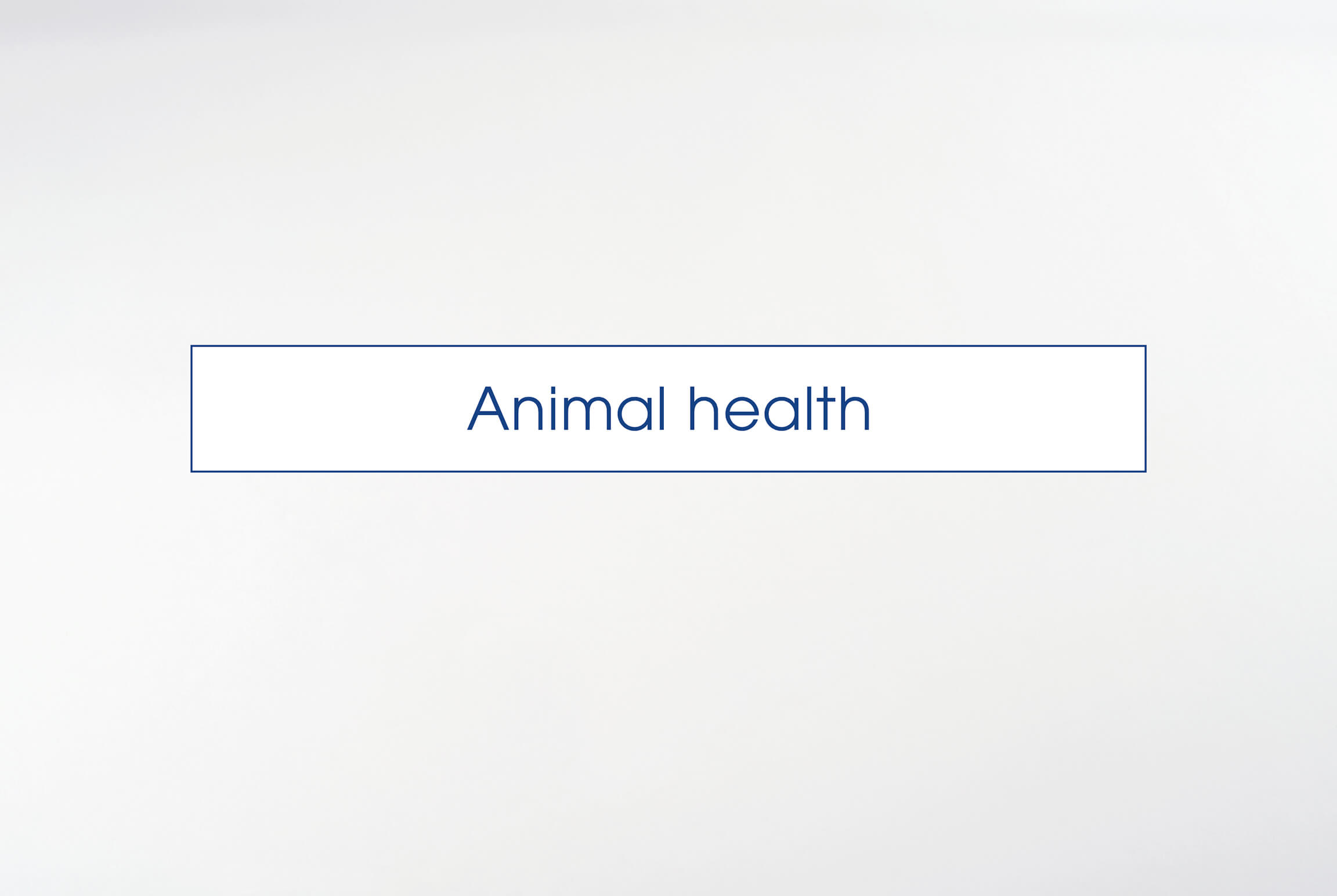 Animal_health_Q2